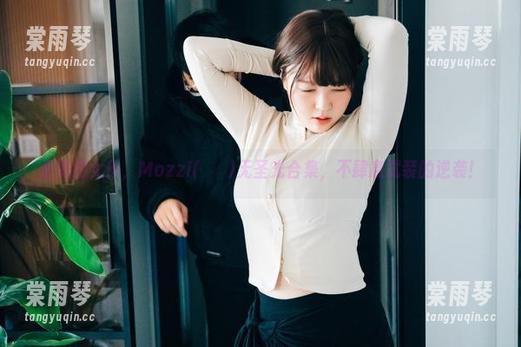 很赞的女仆，Mozzi(모찌)无圣光合集，不肆意武装的逆袭！