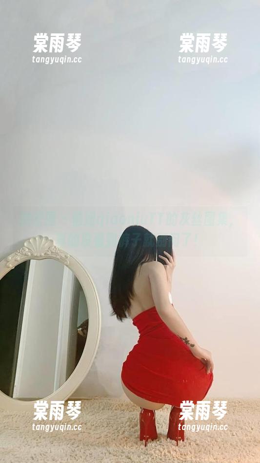 俏妞qiaoniuTT 微密圈 - 俏妞qiaoniuTT的灰丝图集,真的没看到裤子就别问了!